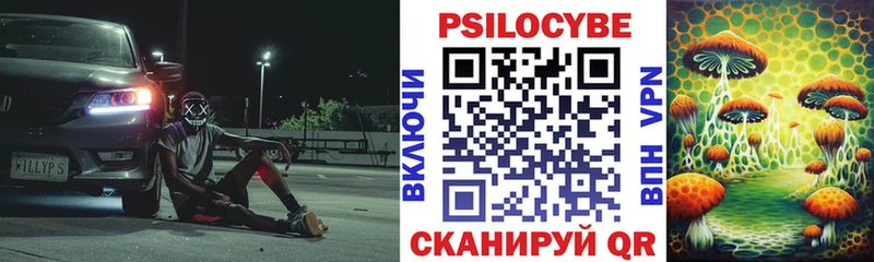 Галлюциногенные грибы Psilocybe  Шахунья 